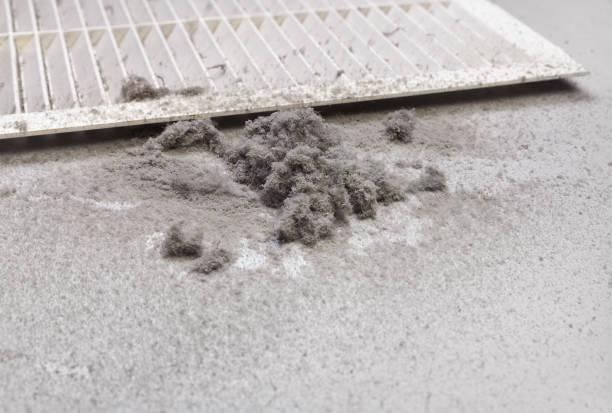 Best HVAC Duct Inspection Services  in Converse, TX