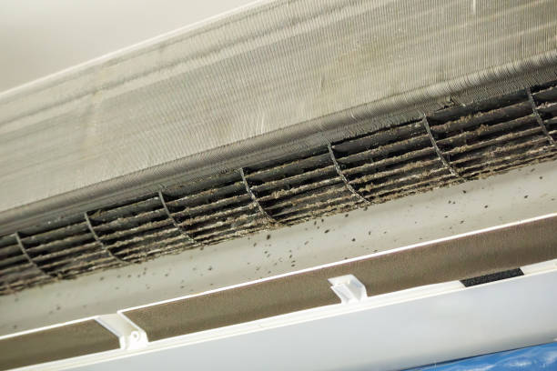 Best Air Duct Cleaning Near Me  in Converse, TX